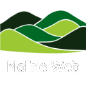 Moliné Web